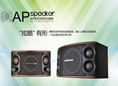 派對屋AP系列卡拉OK音箱_聊城音響_聊城雷石點歌系統(tǒng)_聊城寶迪奧音響_聊城市匯聲音響設備